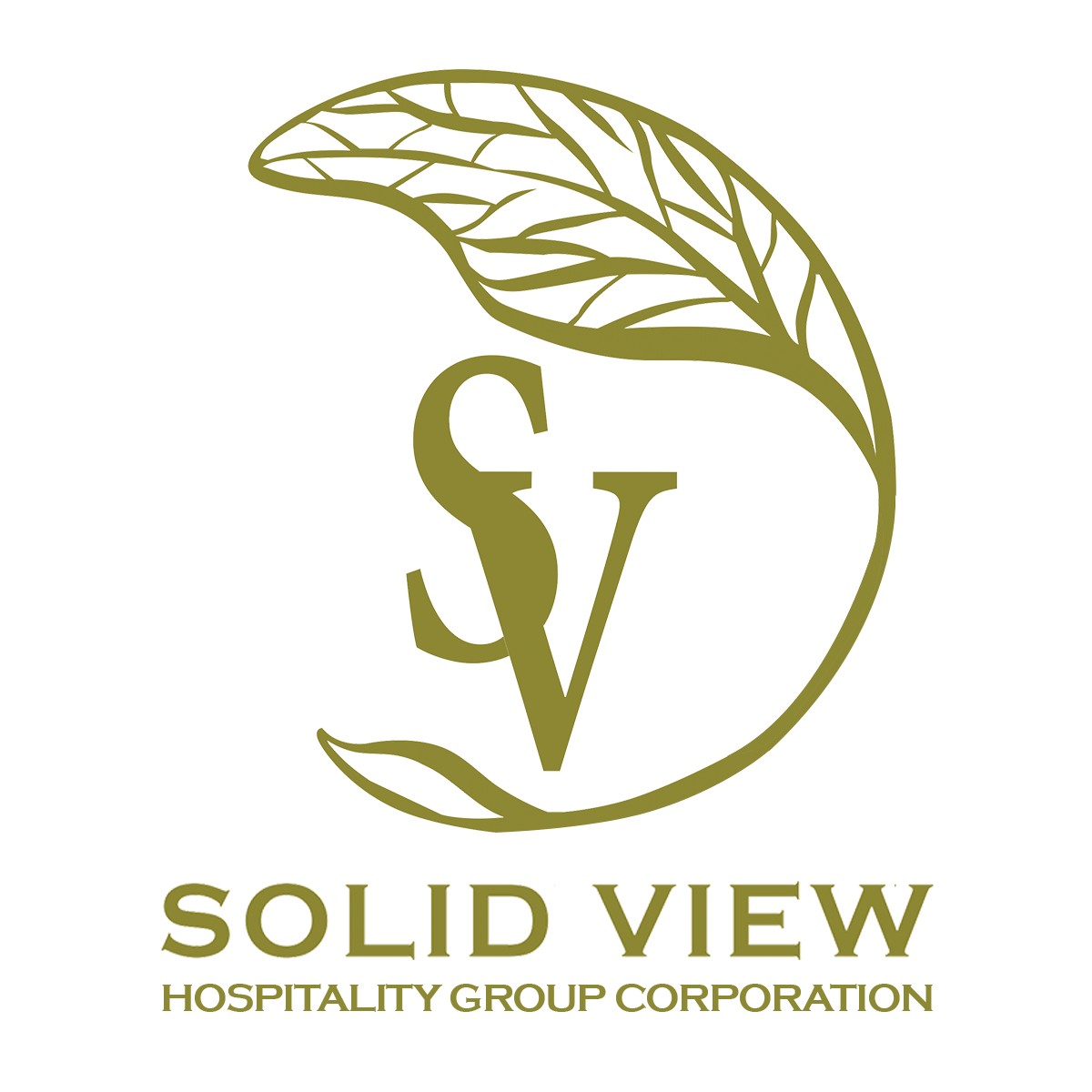 Solid View Hospitality Group Corporation logo